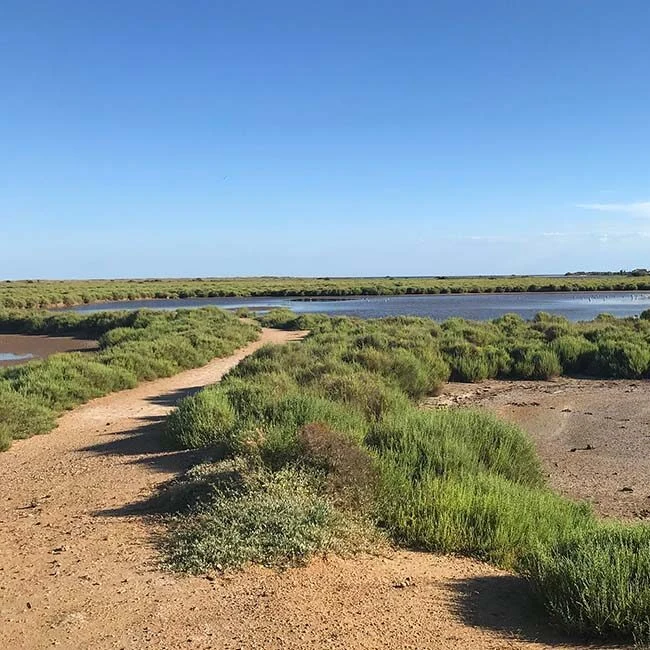 Het landschap van Grande Maïre