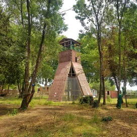 Der Kletterturm zwischen den Bäumen des Parks